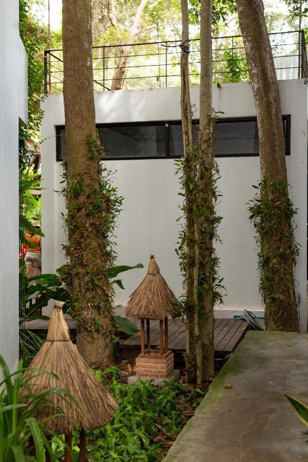 Big Tree Boutique Hotel Ko Tao Exteriér fotografie