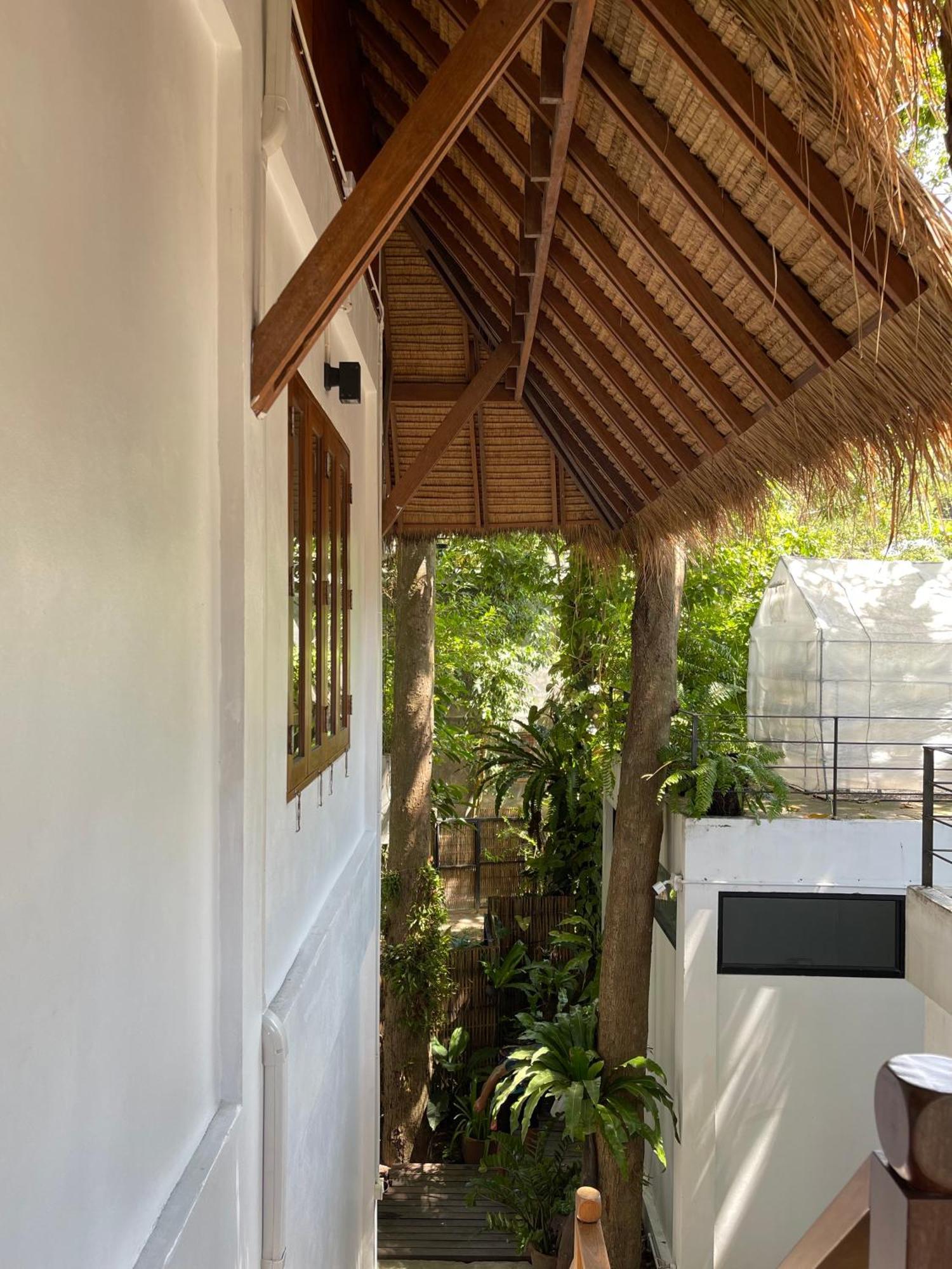 Big Tree Boutique Hotel Ko Tao Exteriér fotografie